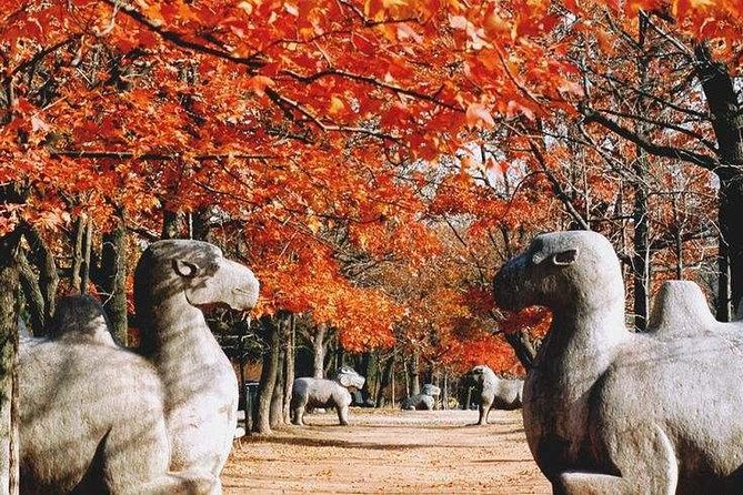 Half-Day Private Customized Nanjing City Tour - Inclusions and Benefits