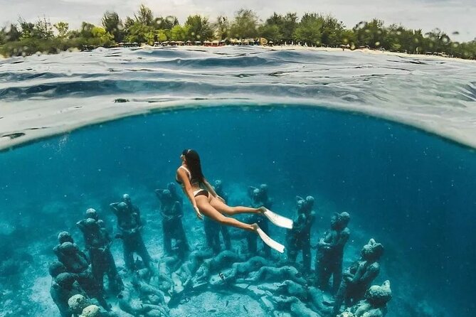 Half-Day Private Guided Snorkeling Turtles Underwater Statues - Snorkeling Equipment Provided