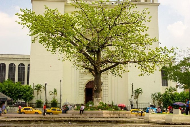 Half Day| San Salvador City Tour - Meeting and Pickup Details