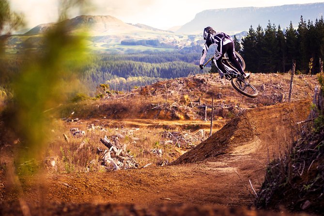 Half-Day Self-Guided Mountain Bike Journey Through Whakarewarewa Redwood Forest - Meeting Point Details