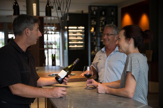 Half Day Small-Group Hawkes Bay Wine Tour - Experience Highlights