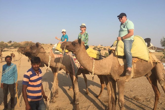 Half-Day Sunset Camel Safari in Rajasthan - Highlights of the Tour