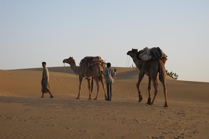 Half-Day Sunset Desert Safari - Sunset Desert Camp Experience