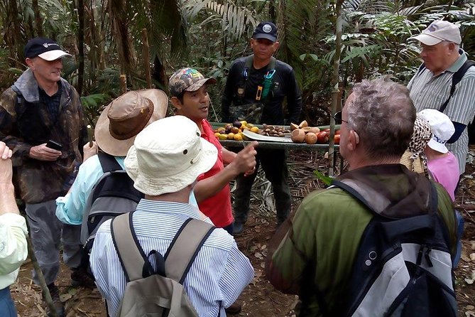 Half Day Tour- Jaguar Jungle Survival - Amazon Rainforest - From Manaus - Additional Information