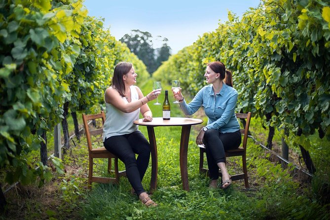 Half-Day Wine Tour From Picton - Meeting and Pickup Details