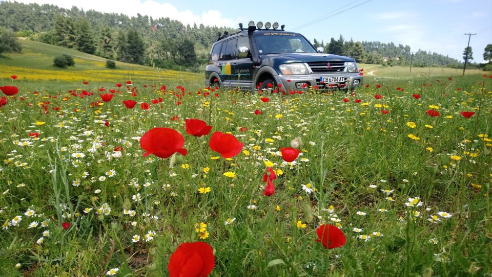 Halkidiki: Kassandra 4x4 Jeep Safari Off-Road Experience - Experience Highlights