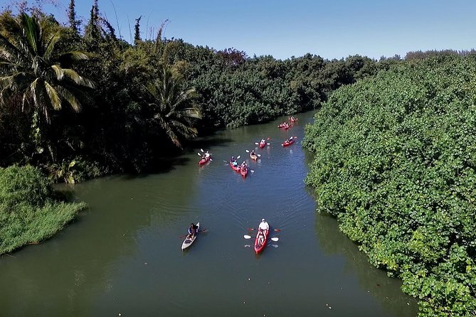 Hanalei Bay AM Kayak and Snorkel Tour - Additional Information and Restrictions