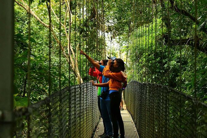 Hanging Bridges, Arenal Volcano, Waterfall, Hot Springs Full Day - Detailed Itinerary