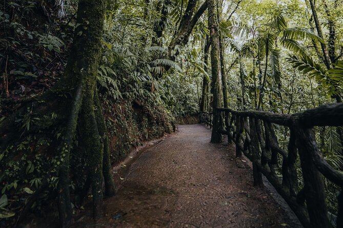 Hanging Bridges Walk in Arenal Volcano - Tour Duration and Pricing