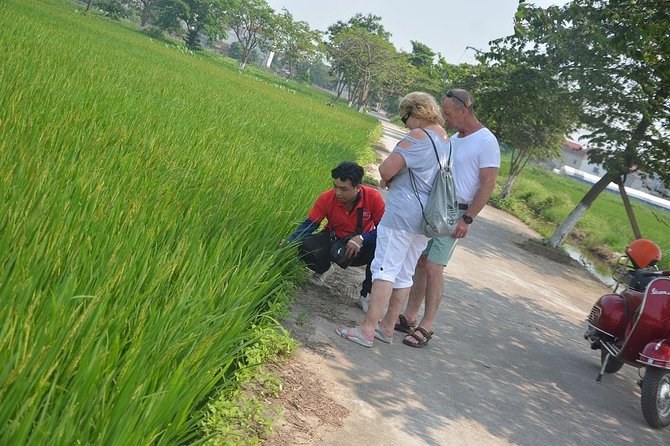 Hanoi Back Street Vespa Tours: Full Day Vespa Tours - Pick-Up and Drop-Off Details