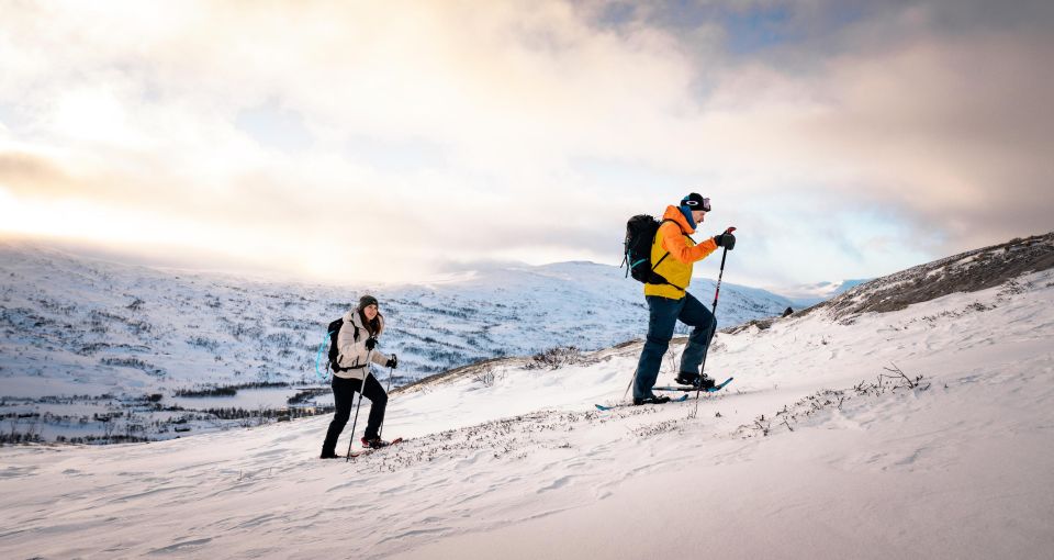 Hardangerfjord: Exclusive Snowshoe Hike With Majestic Views - Experience the Scenic Beauty