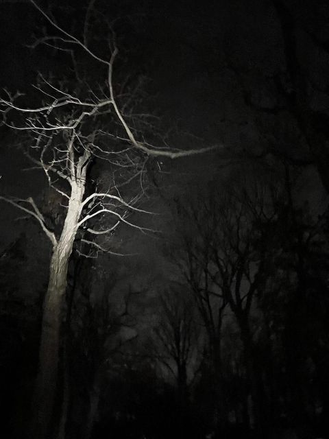 Haunted Mountain Ghost Walking Tour - Highlights of the Tour