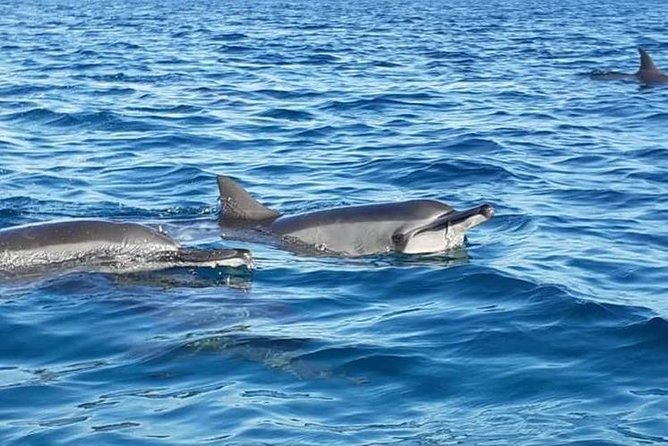 Hawaiian Canoe in Fernando De Noronha - Pricing Information