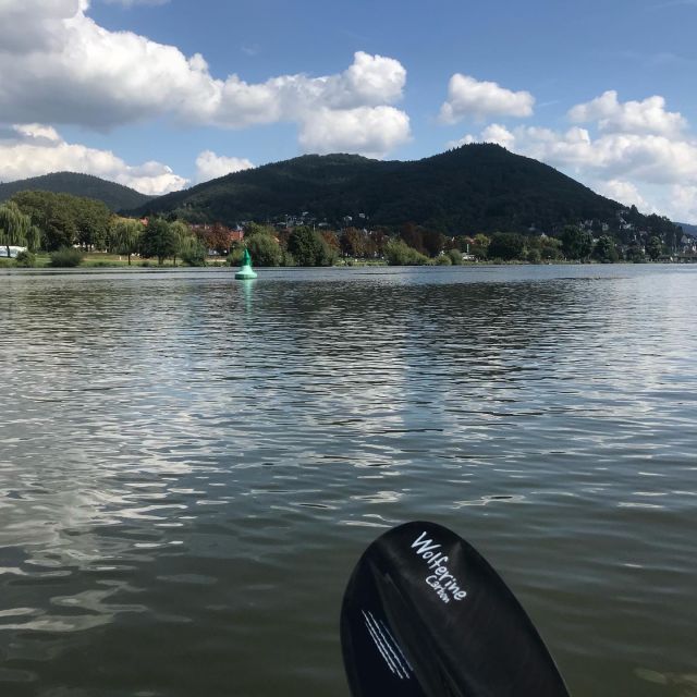 Heidelberg: 2-Hour Kayak Tour - Experience Highlights