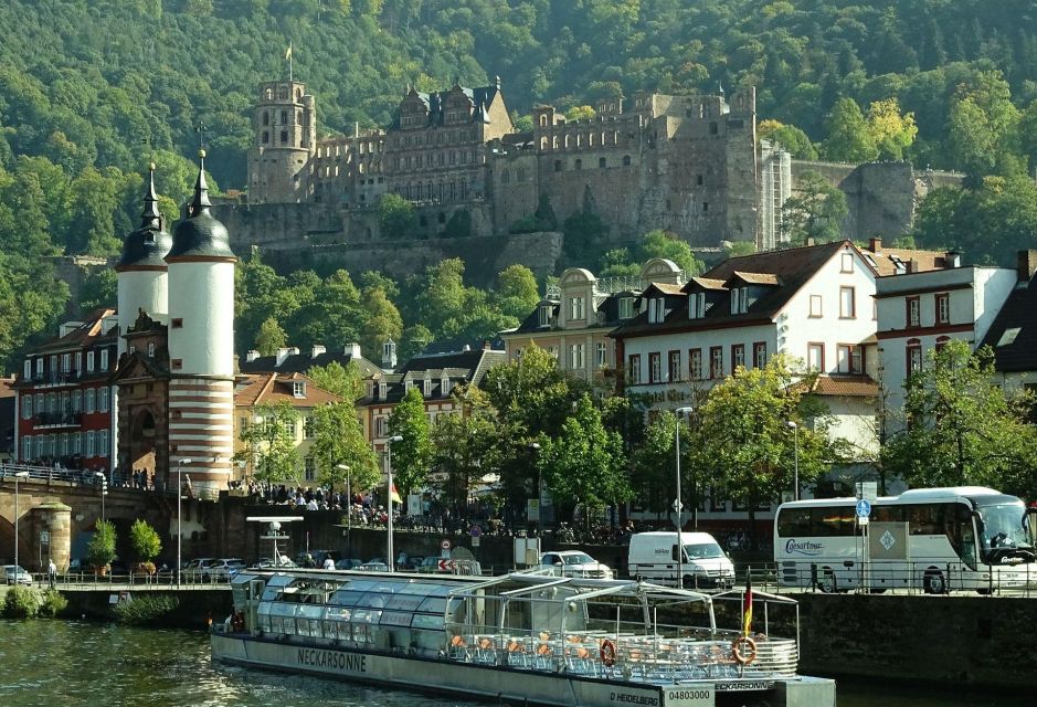Heidelberg Public Walking Tour - City Highlights