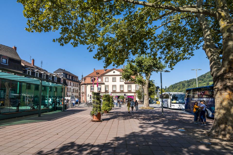 Heidelberg: Sightseeing Bus and Castle Tour - Tour Highlights