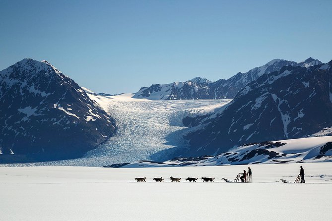 Helicopter Glacier Dogsled Tour + Lower Glacier Landing - ANCHORAGE AREA - Logistics and Transportation