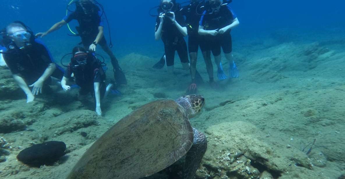 Heraklion: Beginners Intro Dive W/2 Dives With Transfer. - Schedule and Transfers