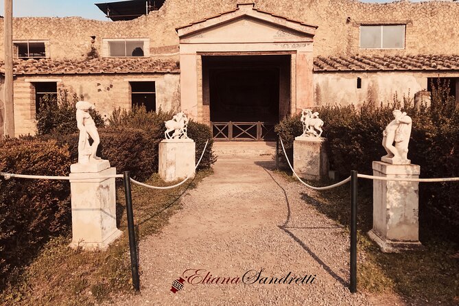 Herculaneum Private Tour With an Archaeologist - Pricing and Cancellation Policy