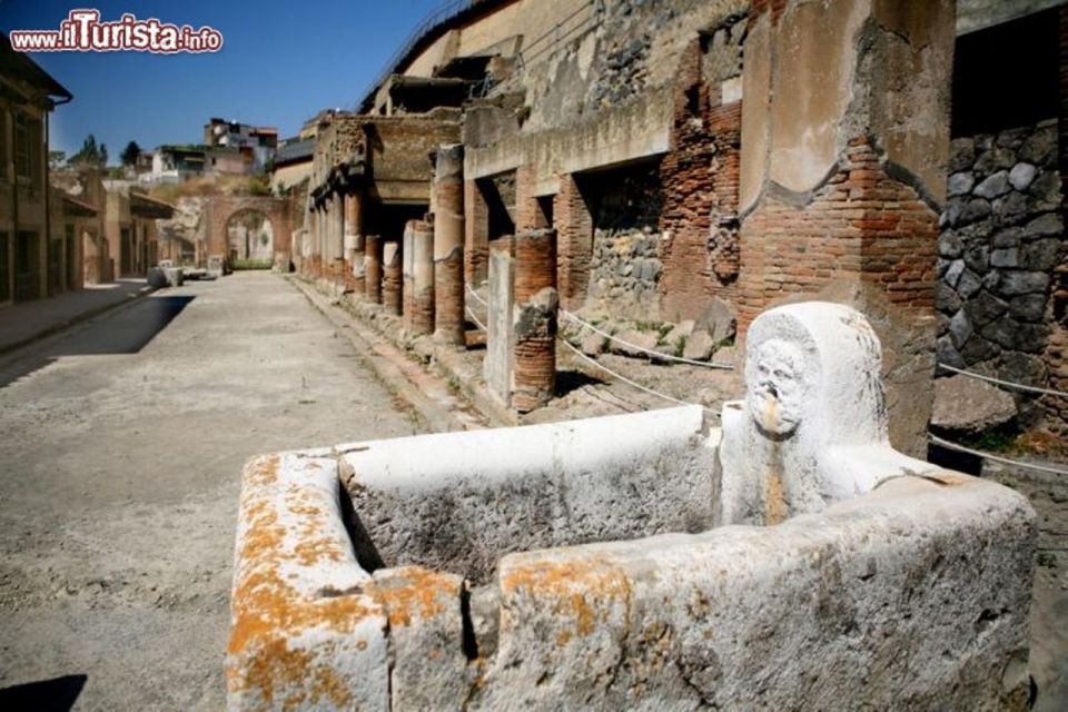 Herculaneum Ruins Private Half-Day Tour - Volcanic Destruction and Preservation