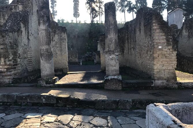 Herculaneum - Small Group Tour - Discovering Daily Roman Life