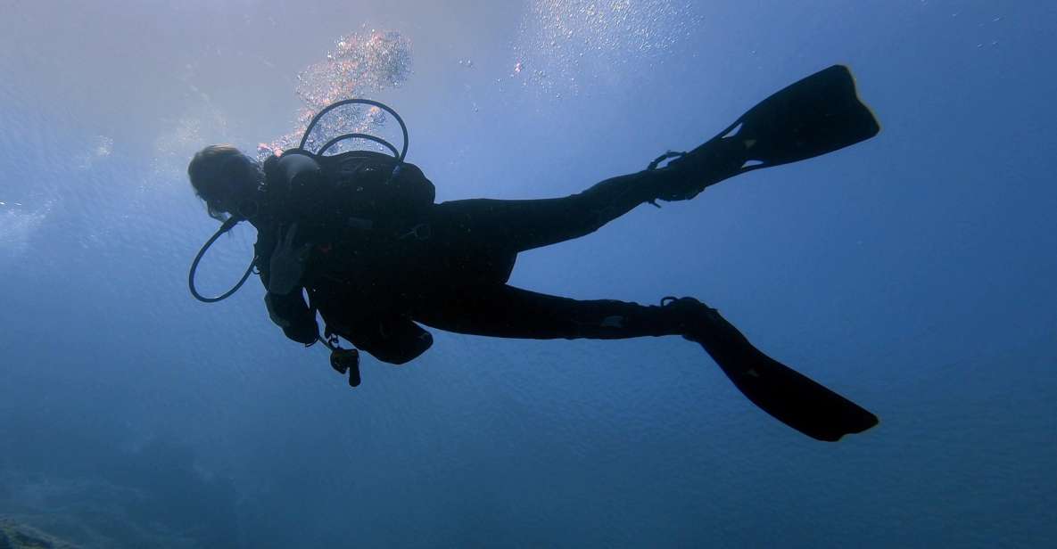 Hersonissos, Stalida: Beginner Scuba Diving Experience - Itinerary and Activities