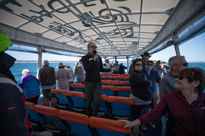 Hervey Bay Ultimate Whale Watching Cruise - Vessel Features and Capacity