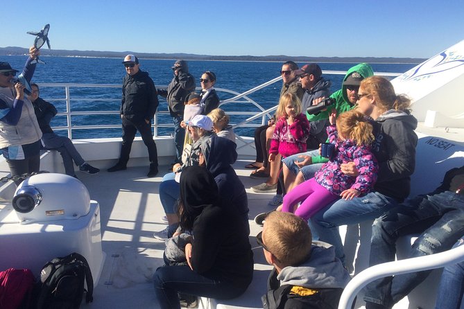Hervey Bay Whale Watching Experience - Pickup Locations and Times