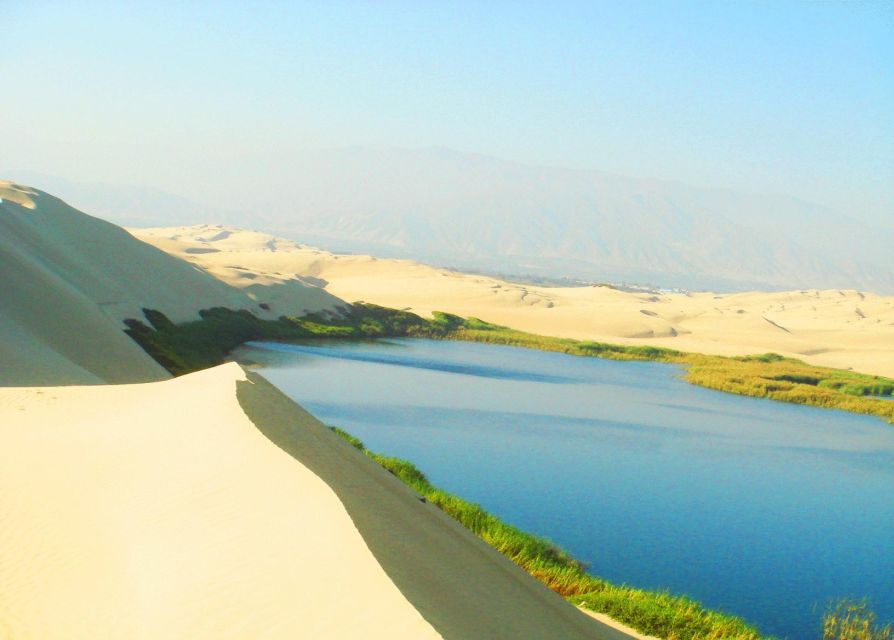 Hidden Oasis in Paracas - Buggy and Sandboarding - Pricing and Discounts