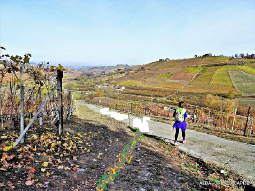 Hiking and Wine Tour Starting From Alba - Itinerary Details