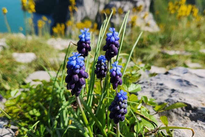 Hiking Day Tour of Bovilla Lake & Gamti Mountain From Tirana - Transportation and Logistics