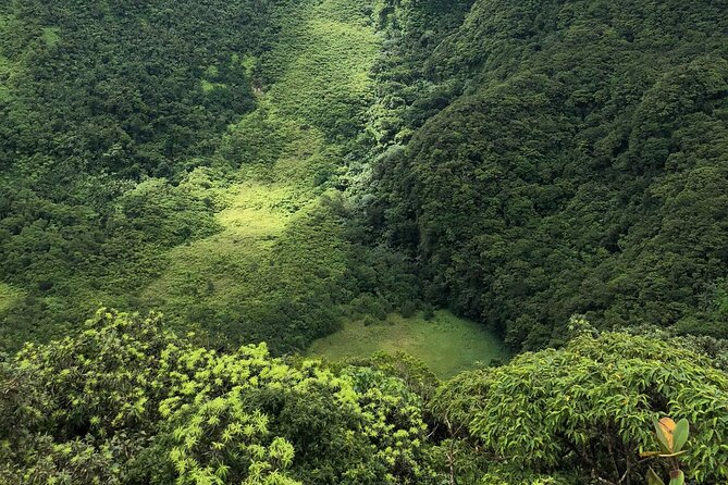 Hiking in Saint Kitts: Mount Liamuiga (Volcano) - Tour Information and Inclusions
