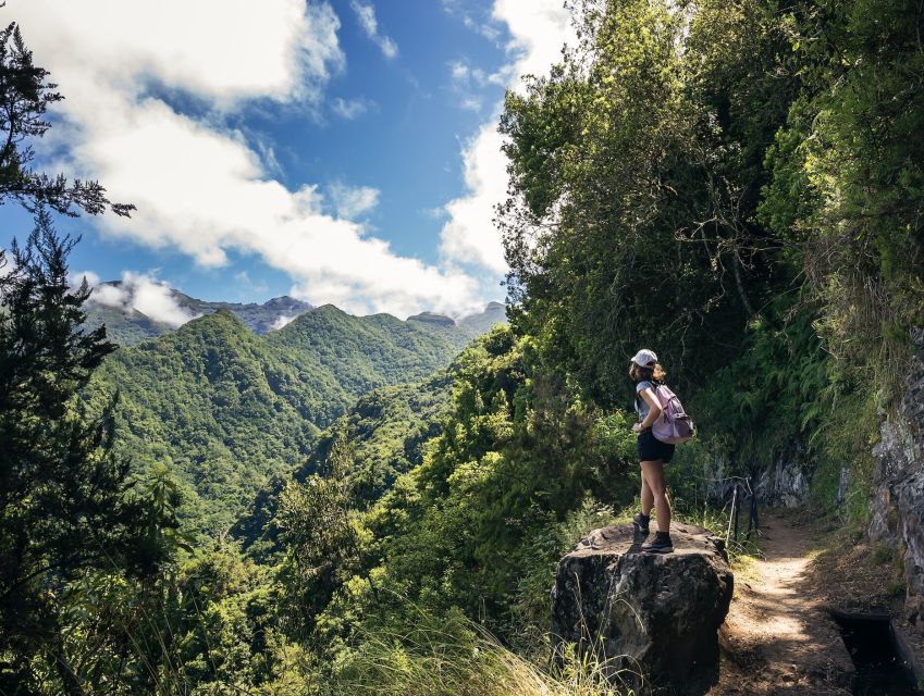 Hiking Levadas of Madeira: Levada Do Rei - Highlights of the Experience