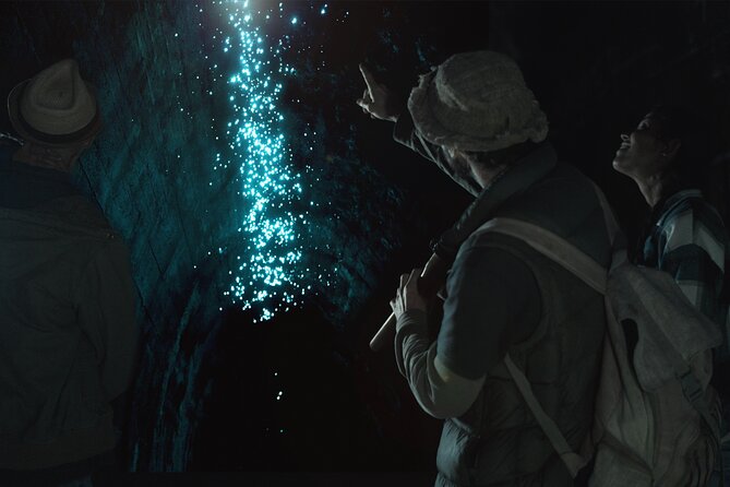 Hinterland Magic & Glow-worm Experience - Tour Inclusions and Benefits