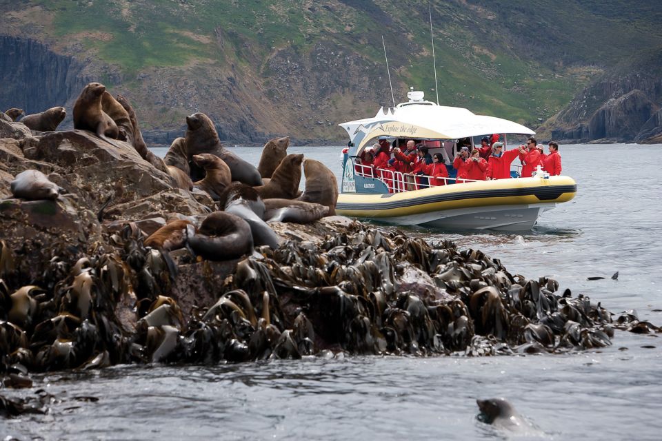 Hobart: Bruny Island Wilderness Coast Eco Cruise With Lunch - Activity Description