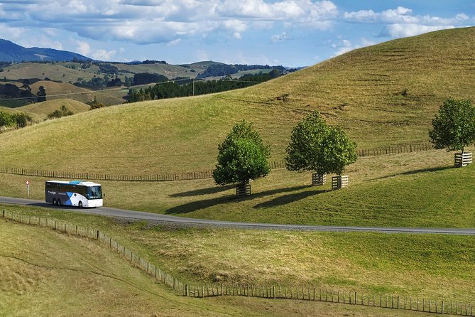 Hobbiton Day Tour From Rotorua With Lunch at Hobbiton - Accessibility Options