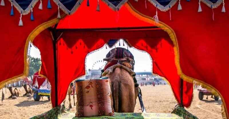 Holy Pushkar and Ajmer Trails (Guided Full Day Tour) - Experience Highlights