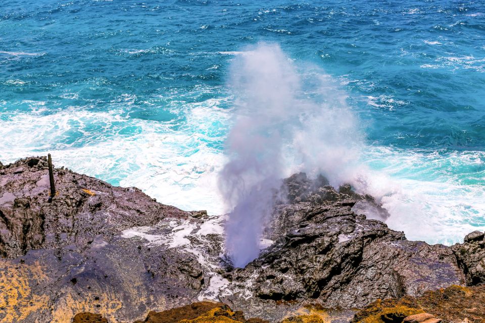 Honolulu: Oahu Sights and Bites Island Tour - Local Culinary Delights