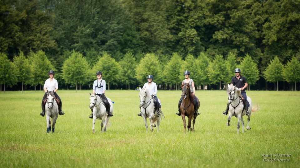 Horse Ride Versailles Intimacy & Vip - Highlights of the Experience