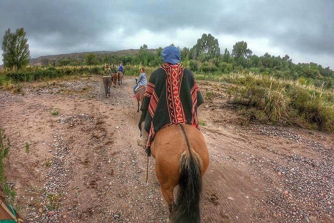 Horseback Ride Through Vineyards Followed by Gourmet Lunch - Tour Highlights