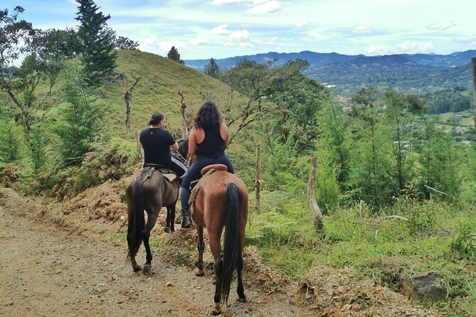 Horseback Riding and ATVs Tour: Two Experiences – One Remarkable Adventure - Key Features of the Tour