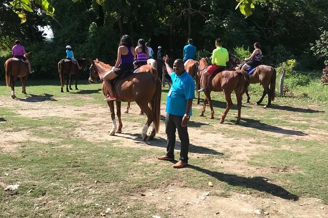 Horseback Riding in the Ocean & Bamboo Rafting From Ocho Rios - Guides and Their Impact