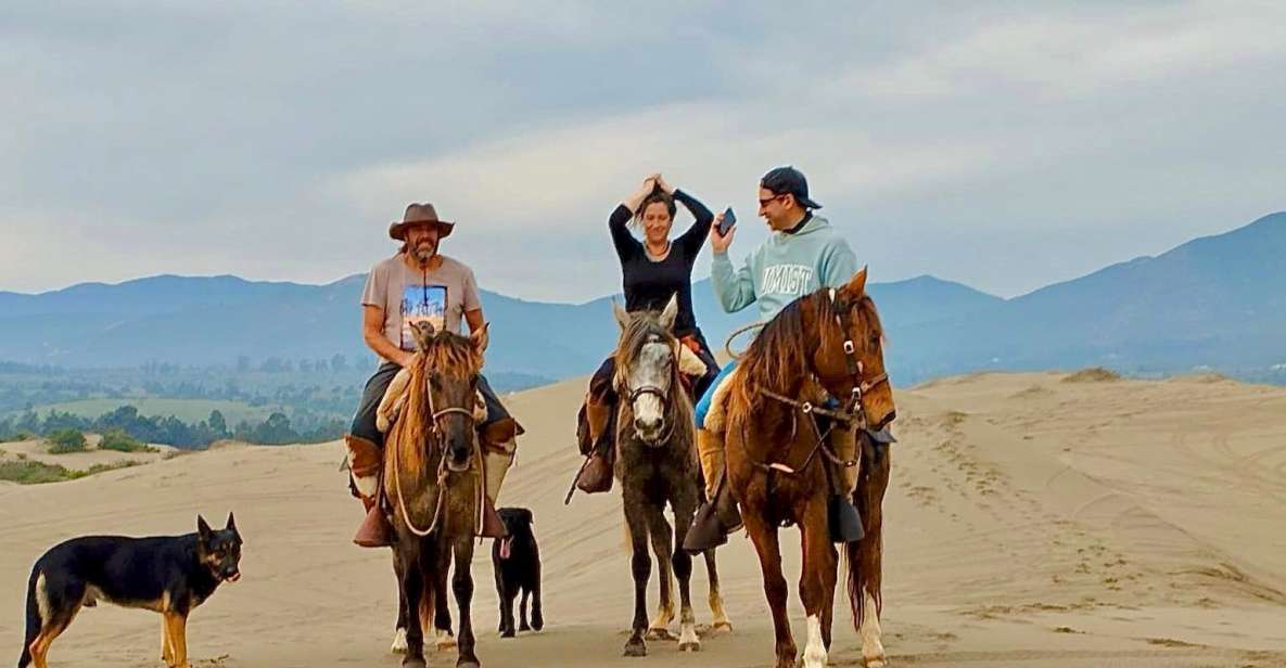 Horseback Riding, Penguins, Winery, Alpacas & Cowboy BBQ - Exciting Activities Included