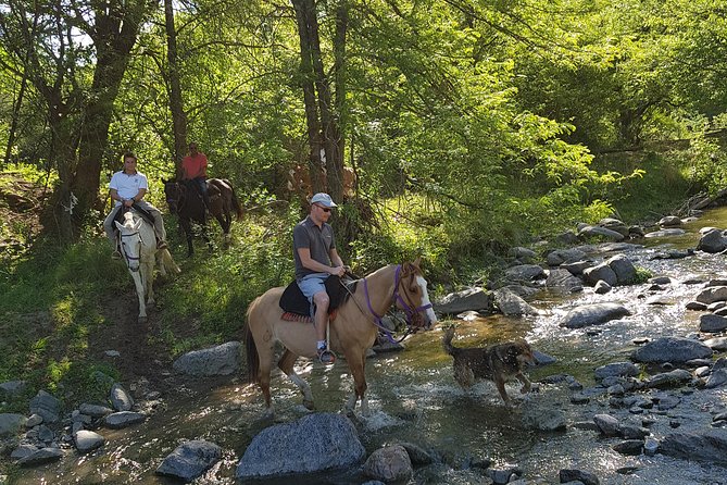 Horseback Riding Through the Sierras - Experience Highlights