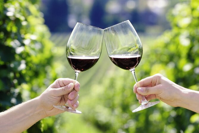 Horseback Riding With Wine Tour From Florence - Included Features