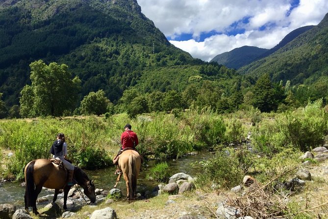 Horseback Trailride Excursion - Tour Details and Options