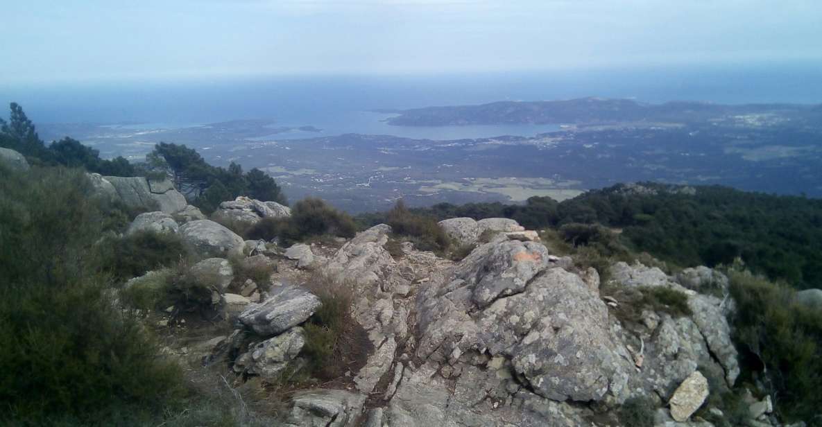 HOSPITAL Forest: Panoramic Summit With Sea and Lake View - Highlights