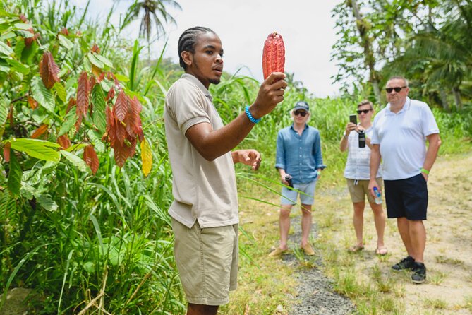 Hotel Chocolat: From Tree to Bar Tour With Tasting in St. Lucia - Tour Duration