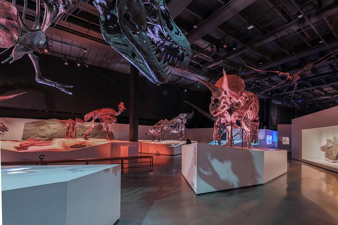 Houston Museum of Natural Science General Admission - Admission Pricing and Details