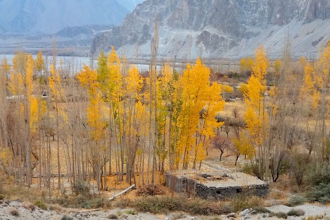 Hunza Autumn Tour - Highlights of the Journey